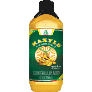 Maxyld Dhanuka (Gibberellic Acid 0.001%)