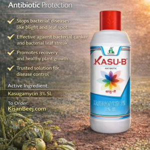 Kasu-B Dhanuka (Kasugamycin 3% SL)