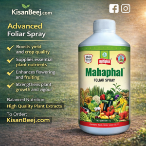 Mahapal Multiplex